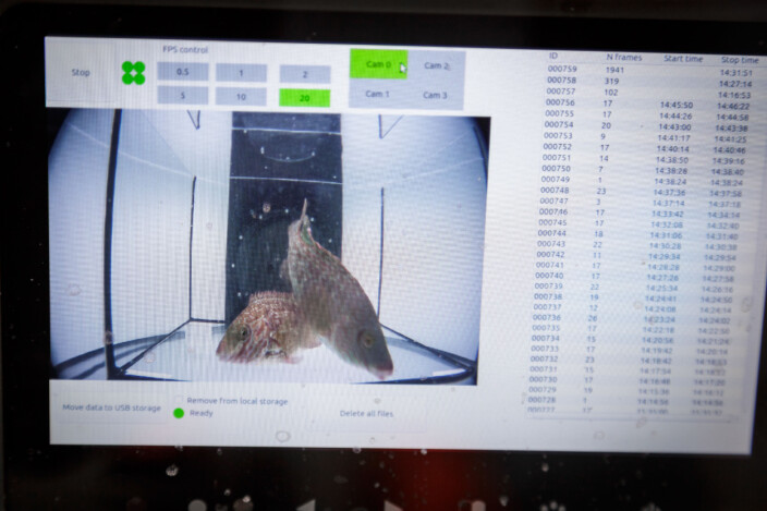 The camera system “Quadeye” takes pictures for a library that can be used to train artificial intelligence to automatically recognise species. The camera system “Quadeye” takes pictures for a library that can be used to train artificial intelligence to automatically recognise species.