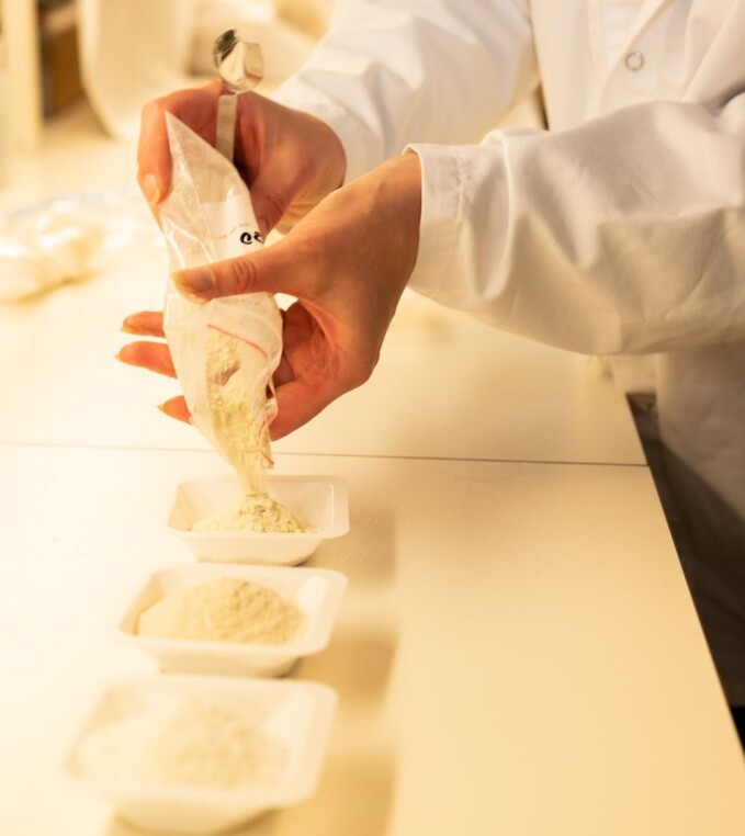 The photo shows pure protein extracted from salmon rest raw materials:gelatin, protein hydrolysate and taste-neutral proteins. The photo shows pure protein extracted from salmon rest raw materials:gelatin, protein hydrolysate and taste-neutral proteins.