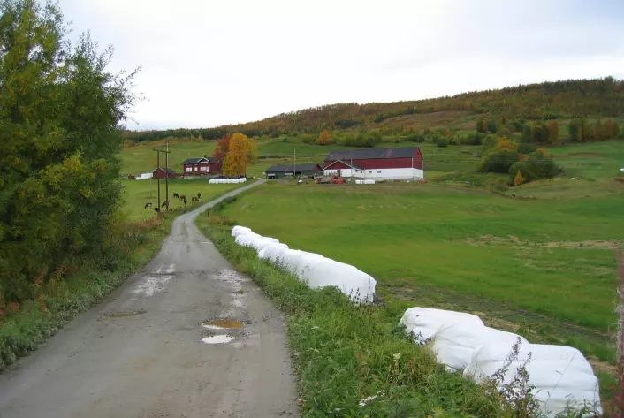 Driften ved Nord-norske gardsbruk er til en viss grad sårbar for et endret klima, viser et forskningsprosjekt. (Foto: Bioforsk)