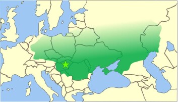 Hunerriket under Attila (406-453) omfatta Baltikum, delar av Tyskland, Ungarn, Balkan og store delar av Russland og Lilleasia. (Foto: (Illustrasjon: Wikimedia Commons)) Hunerriket under Attila (406-453) omfatta Baltikum, delar av Tyskland, Ungarn, Balkan og store delar av Russland og Lilleasia. (Foto: (Illustrasjon: Wikimedia Commons))