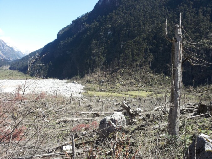 Biletet syner øydeleggingane av skogen etter fjellskredet i Yumthang. Biletet syner øydeleggingane av skogen etter fjellskredet i Yumthang.