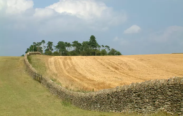 Bredon Hill i Worcestershire, Storbritannia, er en liten forhøyning i terrenget med forskjellige jordtyper nedover. Her tok Kamilla Skaalsveen jevnlige prøver på to nabogårder med henholdsvis konvensjonell drift og direktesåingssystem.