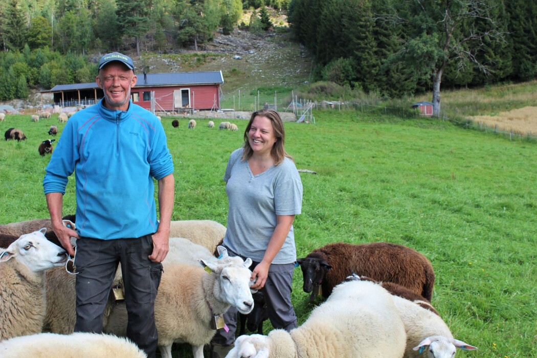 Noen sauer følger flokken, andre ikke. Litt slik er det for mennesker også. Bøndene Øyvind og Synnøve Skogen Håberg kjører sitt eget løp. Det innebærer for eksempel å la jorda på gården leve sitt eget liv i litt større grad. Noen sauer følger flokken, andre ikke. Litt slik er det for mennesker også. Bøndene Øyvind og Synnøve Skogen Håberg kjører sitt eget løp. Det innebærer for eksempel å la jorda på gården leve sitt eget liv i litt større grad.