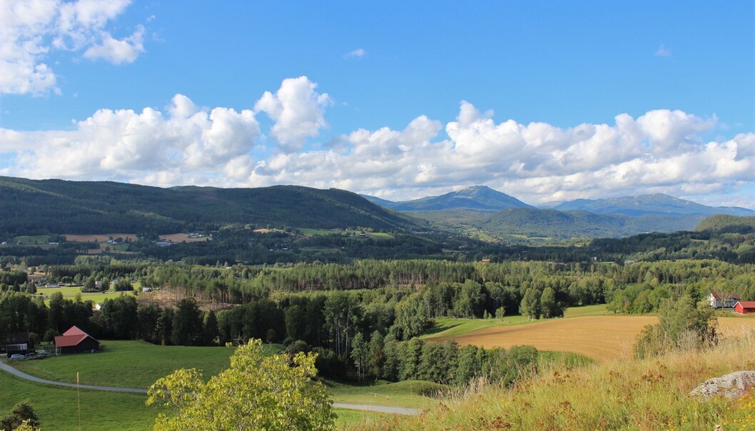 Det skal ikke stå på utsikten fra Håberg gård i Heddal i Telemark. Det skal ikke stå på utsikten fra Håberg gård i Heddal i Telemark.