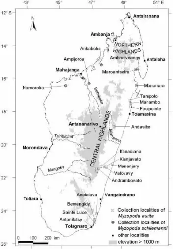 "Dette kartet over Madagaskar viser at den nye arten sugekopp-flaggermus bare finnes i de vestlige skogene på Madagaskar, mens den tidligere kjente arten, Myzopoda aurita, bare finnes i de fuktige østlige skogene."