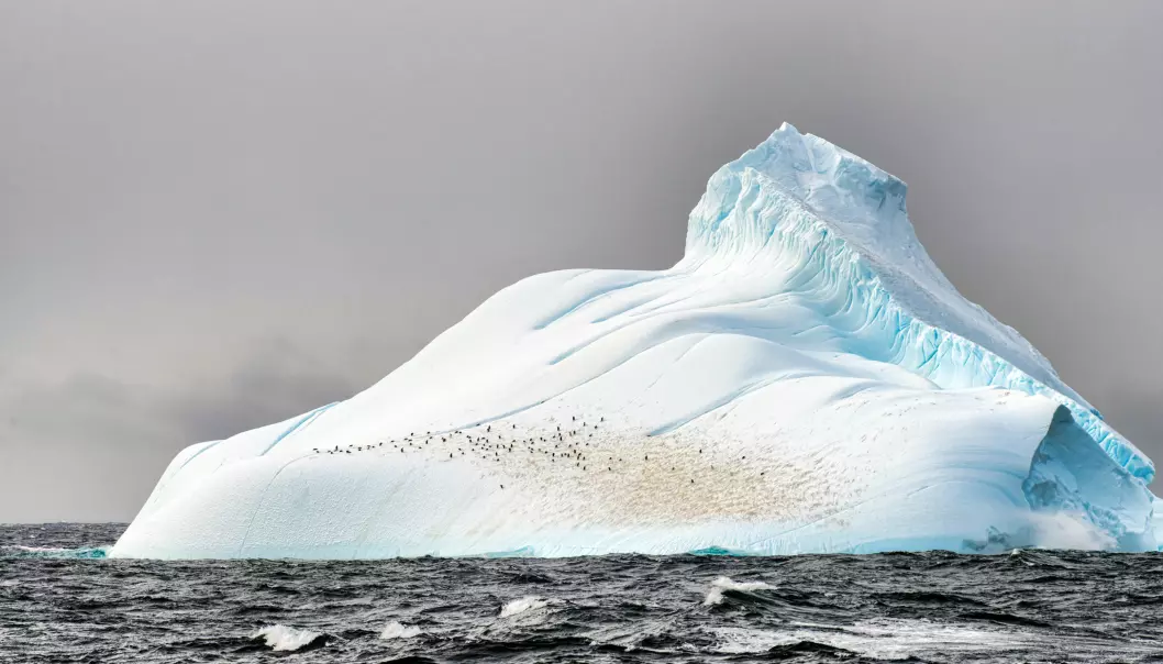 Iceberg with penguins in Antarctica