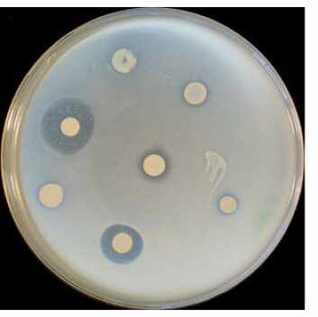 "Listeria." "Listeria."