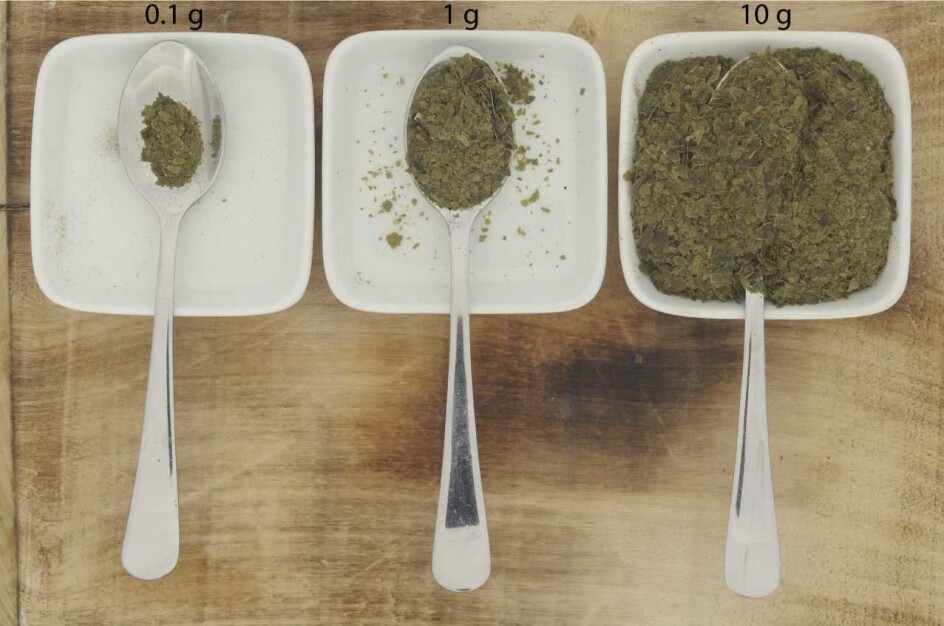 Det første bildet viser 0,1 gram med sukkertare, det utgjør omtrent daglig maksbehov for jod. Om du deler det på fire igjen, får du en anbefalt dagsdose med jod.