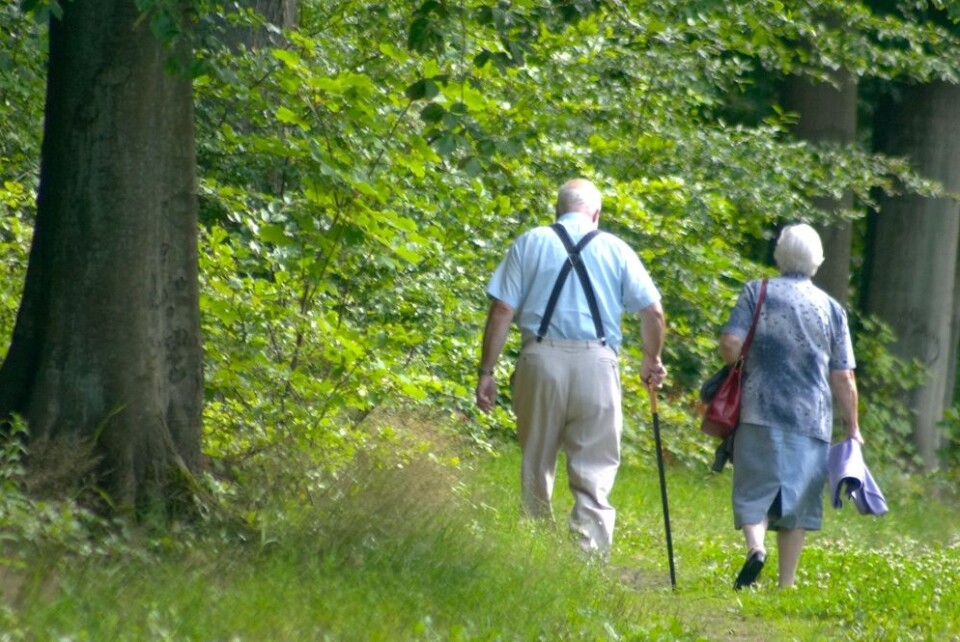 Kvinner i den eldste aldersgruppen som går mye i skog og mark, er også de som sjeldnest drikker seg fulle. (Foto: Colourbox)