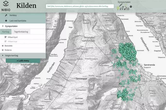 Dette kartet viser bevegelsene til en tre år gammel kolle i Gloppen kommune. Posisjonene er fra perioden 1. januar til 10. september 2020.
