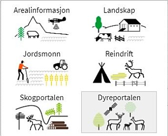 Fra hovedmenyen i Kilden velger du Dyreportalen for å få tilgang til denne tjenesten. Fra hovedmenyen i Kilden velger du Dyreportalen for å få tilgang til denne tjenesten.