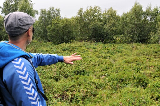 – Her har vi et eksempel på et vanskelig område, sier Carlsen. Er det boreal hei eller kystlynghei? – Her har vi et eksempel på et vanskelig område, sier Carlsen. Er det boreal hei eller kystlynghei?