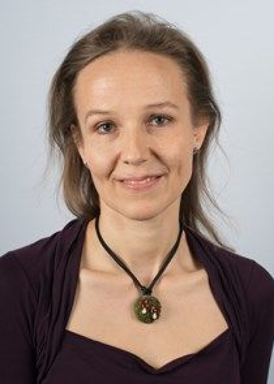 – Et nytt tre vil etter noen år begynne å gro der det gamle sto, men forblir i mange år et veldig lite karbonlager, nettopp fordi treet er så lite, forklarer Jenni Nordén, som forsker på karbonlagring i skog ved Norsk institutt for naturforskning.