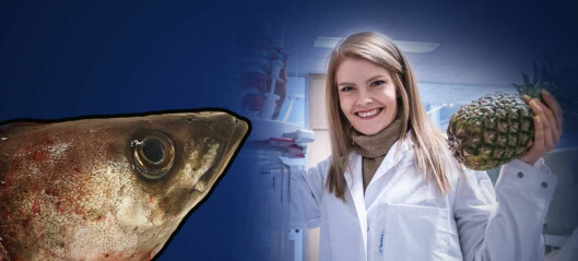 Veronica forsker på hvordan fiskehoder kan bli til mat