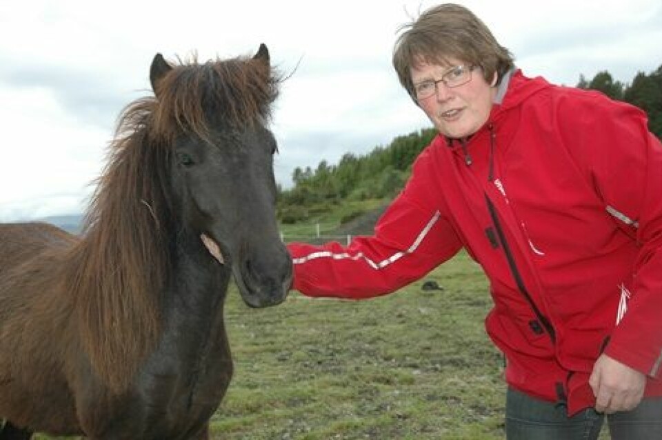 Forsker Astrid Johansen ved Bioforsk Midt-Norge i Stjørdal her ledet prosjektet om grovfôr til hest. (Foto: Jon Schärer)