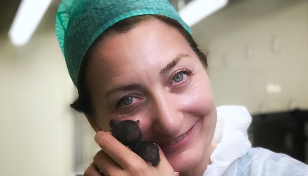 Forskningsdagene har i år hjernen som tema. Hjerneforsker May-Britt Moser skal stå for den offisielle åpningen. Forskningsdagene har i år hjernen som tema. Hjerneforsker May-Britt Moser skal stå for den offisielle åpningen.