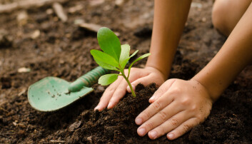 Det finnes fosfor i kloakken. Klarer vi å hente ut det, vil plantene bli glade. Det er som supermat for dem. Det finnes fosfor i kloakken. Klarer vi å hente ut det, vil plantene bli glade. Det er som supermat for dem.
