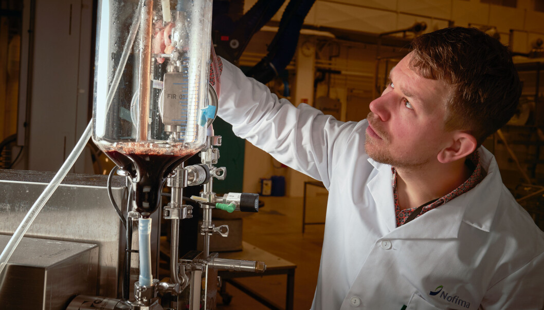 Runar Gjerp Solstad is one of the researchers who have worked meticulously to develop a process for transforming blood to powder which can be used in iron supplements. Runar Gjerp Solstad is one of the researchers who have worked meticulously to develop a process for transforming blood to powder which can be used in iron supplements.