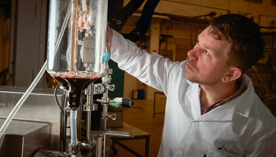 Runar Gjerp Solstad is one of the researchers who have worked meticulously to develop a process for transforming blood to powder which can be used in iron supplements.