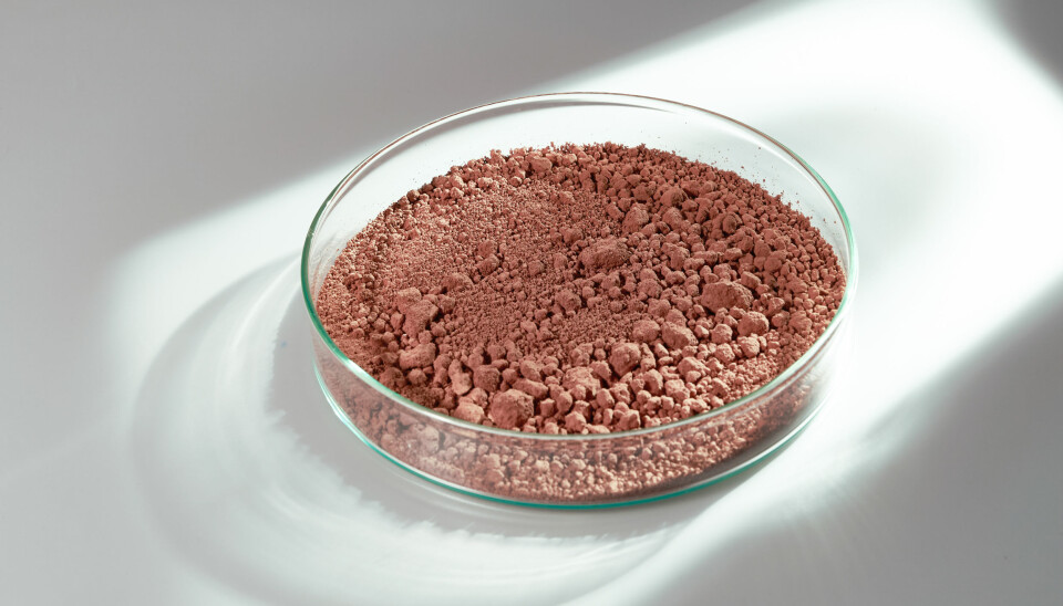 Salmon blood in powder form - the only of its kind.