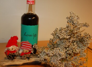 Einerlåg og ryllik. (Foto: Bolette Bele) Einerlåg og ryllik. (Foto: Bolette Bele)