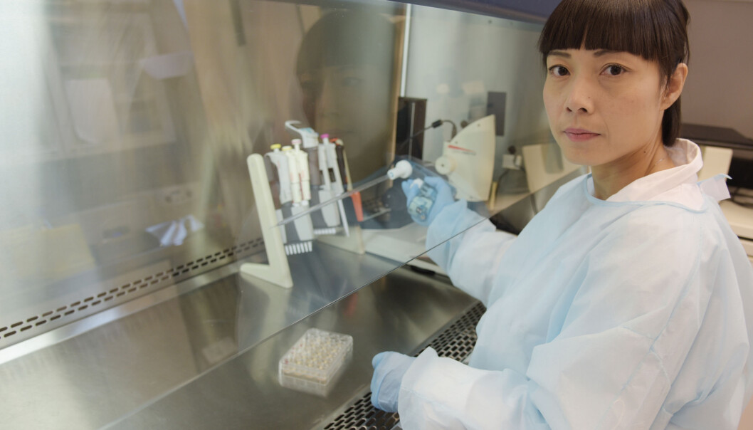 Kristina Xiao Liang rekonstruerer mitokondriesykdom ved hjelp av stamceller. Kristina Xiao Liang rekonstruerer mitokondriesykdom ved hjelp av stamceller.