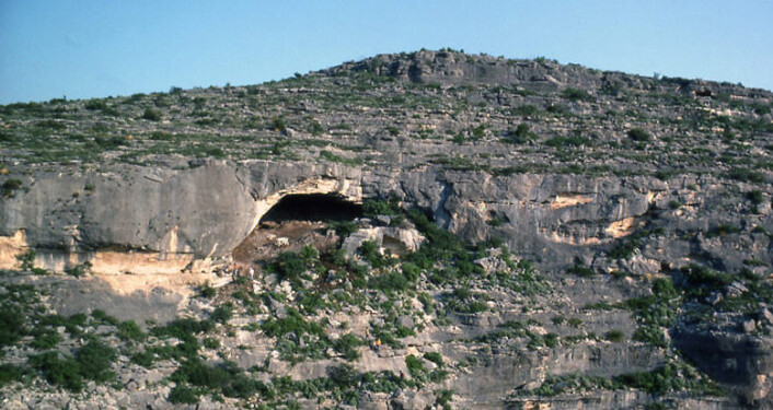 Hinds Cave i Texas er ett av stedene hvor det er funnet forsteinet avføring, koprolitter. Koprolittene i den nye studien er rundt 8000 år gamle. (Foto: University of Texas at Austin) Hinds Cave i Texas er ett av stedene hvor det er funnet forsteinet avføring, koprolitter. Koprolittene i den nye studien er rundt 8000 år gamle. (Foto: University of Texas at Austin)