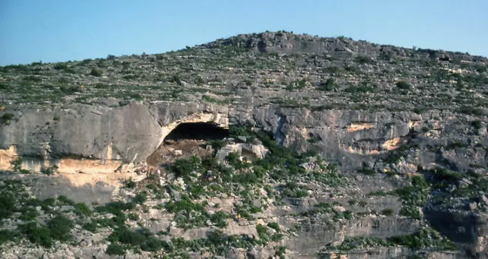 Hinds Cave i Texas er ett av stedene hvor det er funnet forsteinet avføring, koprolitter. Koprolittene i den nye studien er rundt 8000 år gamle. (Foto: University of Texas at Austin)