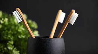 Mote-tannbørsten er ingen miljøvinner, ifølge ny studie