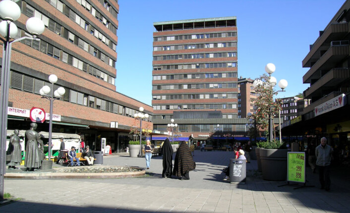 I følge avtalen om utviklingen av Tøyen, skal Tøyensenteret revitaliseres. (Foto: Wikimedia commons) I følge avtalen om utviklingen av Tøyen, skal Tøyensenteret revitaliseres. (Foto: Wikimedia commons)
