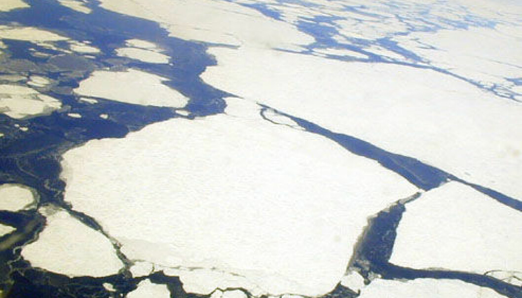 Antarktiske isbreer krymper