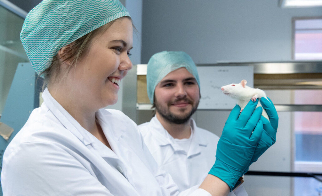 – Vi forsker på hva som skjer i hjernen når døgnrytmen vår endres. Andrea Rørvik Marti og kollega Øystein Holmelid på laboratoriet i Bergen. – Vi forsker på hva som skjer i hjernen når døgnrytmen vår endres. Andrea Rørvik Marti og kollega Øystein Holmelid på laboratoriet i Bergen.
