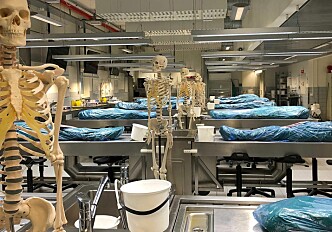 Nine hundred people from one Norwegian county donated their bodies to research when they die. Why?