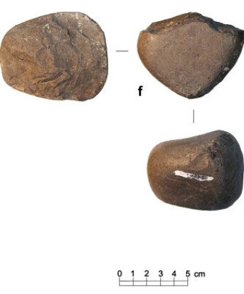 Dette er menneskelaget hammerverktøy fra steinalderen som ble funnet i Gona i Etiopia. (Foto: Elsevier) Dette er menneskelaget hammerverktøy fra steinalderen som ble funnet i Gona i Etiopia. (Foto: Elsevier)