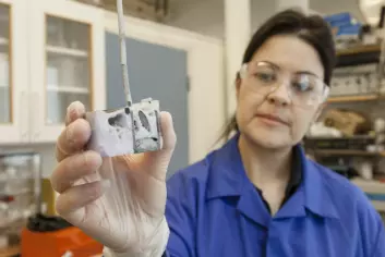 Ana Maria Martinez har tro på at høytemperatur elektrolyse kan brukes til å gjenvinne sjeldne jordartsmetaller fra skrap. Her har hun åpnet en digel etter et elektrolyse-forsøk. (Foto: Thor Nielsen, Sintef)