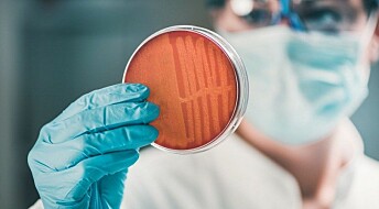 Lovende ny metode for å bekjempe antibiotikaresistente bakterier