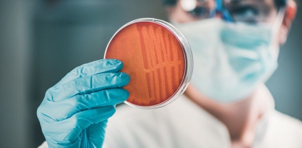 MRSA er en bakterie som kan forårsake alvorlige infeksjoner i blant annet hud, sår, bein og ledd. MRSA er en bakterie som kan forårsake alvorlige infeksjoner i blant annet hud, sår, bein og ledd.