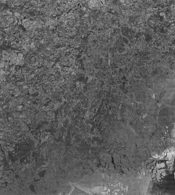 Satellittbilde av sjøis. Mørke områder er sannsynligvis nyfrosset is, mens områder med høyere intensitet er ruhet, og kan tyde på flerårsis. Foto: Institutt for fysikk og teknologi, UiT Satellittbilde av sjøis. Mørke områder er sannsynligvis nyfrosset is, mens områder med høyere intensitet er ruhet, og kan tyde på flerårsis. Foto: Institutt for fysikk og teknologi, UiT