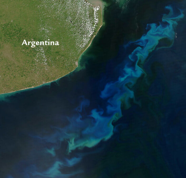 De strålende grønne og blå virvlene midt i det dype, blå Atlanterhavet utenfor Argentina er skapt av bittesmå havplanter (fotoplankton) som trekker karbondioksid fra atmosfæren. Tilfører man jern til havet, vil fotoplankton blomstre opp. Dette kunne i prinsippet bidra til å redusere opphopningen av drivhusgasser. (Foto: NASA) De strålende grønne og blå virvlene midt i det dype, blå Atlanterhavet utenfor Argentina er skapt av bittesmå havplanter (fotoplankton) som trekker karbondioksid fra atmosfæren. Tilfører man jern til havet, vil fotoplankton blomstre opp. Dette kunne i prinsippet bidra til å redusere opphopningen av drivhusgasser. (Foto: NASA)
