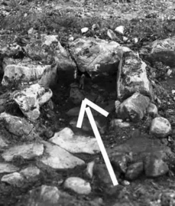 Den hodeløse bjørnefiguren var plassert slik at den «dykker» ned i ildstedet. Det får nå arkeologene til å tro at det er snakk om en hittil ukjent, rituell handling. (Foto: Nationalmuseet)