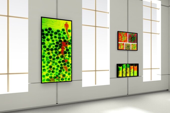 Joachim Falck Brodin: "The blood runs freely" (left), "It could be so simple" (upper right) and "Alchemy". Joachim Falck Brodin: "The blood runs freely" (left), "It could be so simple" (upper right) and "Alchemy".