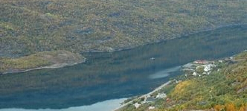 Langvatnet i Sulitjelma - vakkert, men forurenset fra tidligere gruvedrift. Eigil Iversen