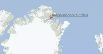 Independence-fjorden på Grønland ligger lenger nord enn Svalbard, og er ekstremt lite gjestmild. (Foto: (Bilde: Google Maps/bearbeidet av forskning.no))
