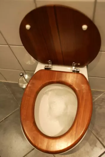 "Svenske forskere har tatt patent på et toalett som skiller ut fosfor fra urin og avføring. Illustrasjonsfoto: www.colourbox.no"