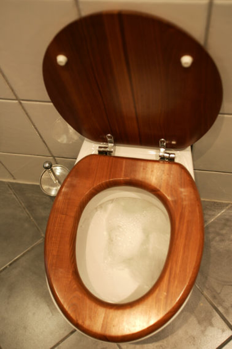 'Svenske forskere har tatt patent på et toalett som skiller ut fosfor fra urin og avføring. Illustrasjonsfoto: www.colourbox.no'
