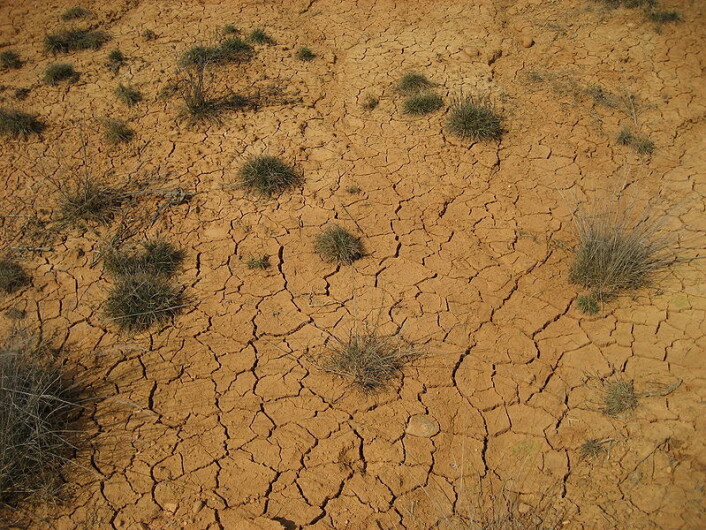Av naturkatastrofer, er det tørkekatastrofer har størst konfliktdempende effekt, ifølge Slettebaks forskning. (Foto: Wikimedia Commons) Av naturkatastrofer, er det tørkekatastrofer har størst konfliktdempende effekt, ifølge Slettebaks forskning. (Foto: Wikimedia Commons)