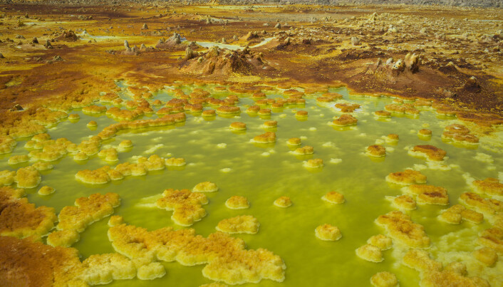 Formasjoner av salt og svovel i dammer i Dallol i Etiopia. Dette er et av de mest livsfiendtlige stedene i verden, men det er fortsatt gjestmildt sammenlignet med Venus. Formasjoner av salt og svovel i dammer i Dallol i Etiopia. Dette er et av de mest livsfiendtlige stedene i verden, men det er fortsatt gjestmildt sammenlignet med Venus.