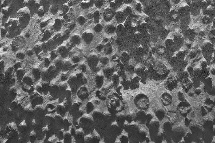 Opportunity har også tidlegare gitt forskarane geologiske gåter å tyggje på, som då roveren kom over desse merkelege kulene i 2012. (Foto: NASA/JPL-Caltech/Cornell Univ./ USGS/Modesto Junior College) Opportunity har også tidlegare gitt forskarane geologiske gåter å tyggje på, som då roveren kom over desse merkelege kulene i 2012. (Foto: NASA/JPL-Caltech/Cornell Univ./ USGS/Modesto Junior College)