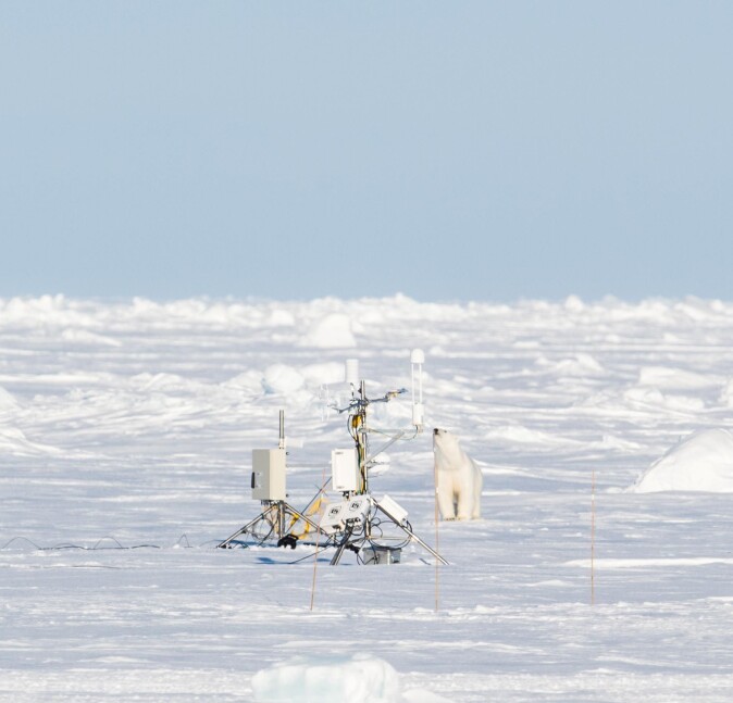 Isbjørn er en av flere arter som står i fare for å miste islagte leveområder, i takt med de pågående klimaendringene. På bildet studerer et eksemplar av arten noen instrumenter på isen under innfrysningen av Lance. Isbjørn er en av flere arter som står i fare for å miste islagte leveområder, i takt med de pågående klimaendringene. På bildet studerer et eksemplar av arten noen instrumenter på isen under innfrysningen av Lance.
