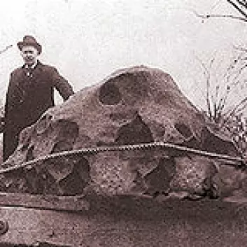 "Willamette-meteoritten er den største som er blitt funnet i USA med en vekt på 15,5 tonn."